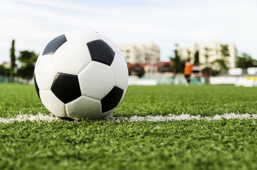 Sports coverage for NZ punters